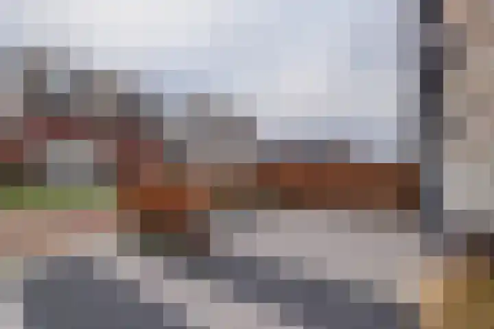 Meeroever 28 Hillegom thumbnail 70