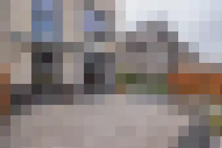Meeroever 28 Hillegom thumbnail 71