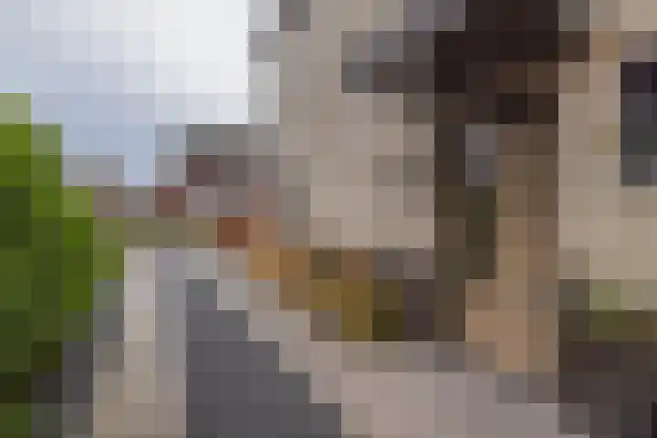Meeroever 28 Hillegom thumbnail 73