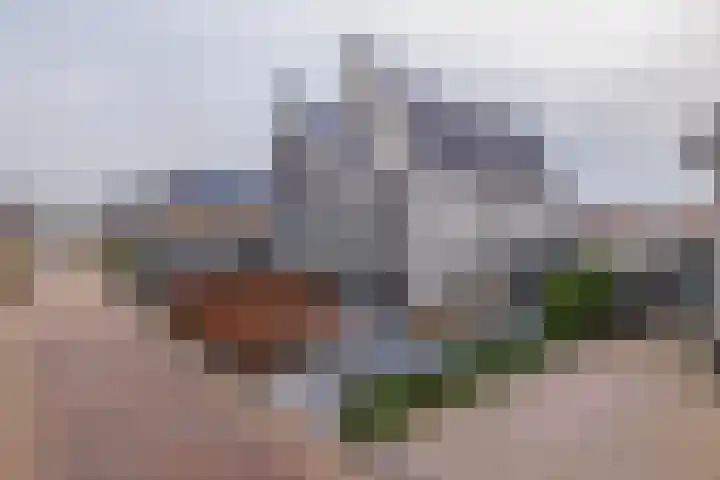Meeroever 28 Hillegom thumbnail 74