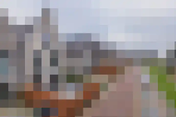 Meeroever 28 Hillegom thumbnail 76