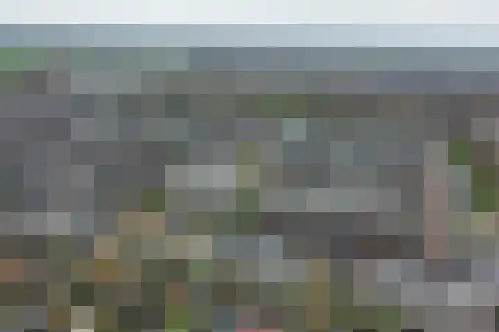 Meeroever 28 Hillegom thumbnail 78