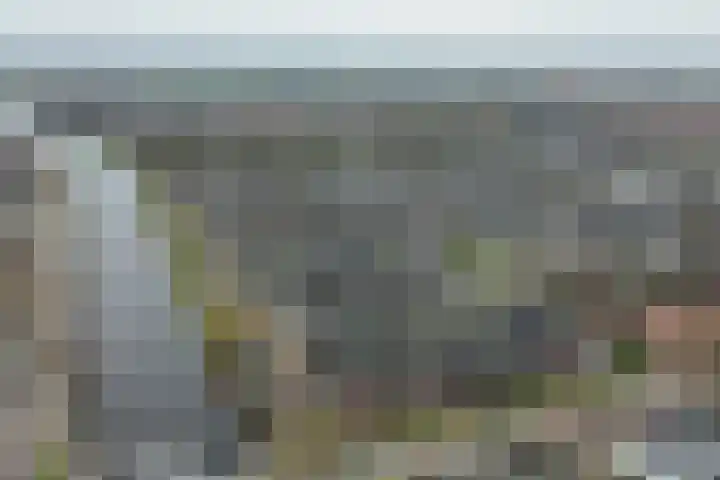 Meeroever 28 Hillegom thumbnail 79