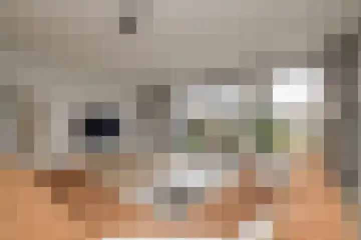 Meeroever 28 Hillegom thumbnail 8