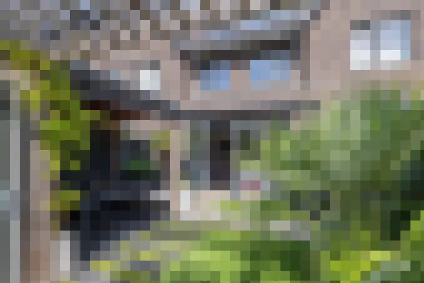 Meeroever 5 Hillegom thumbnail 18