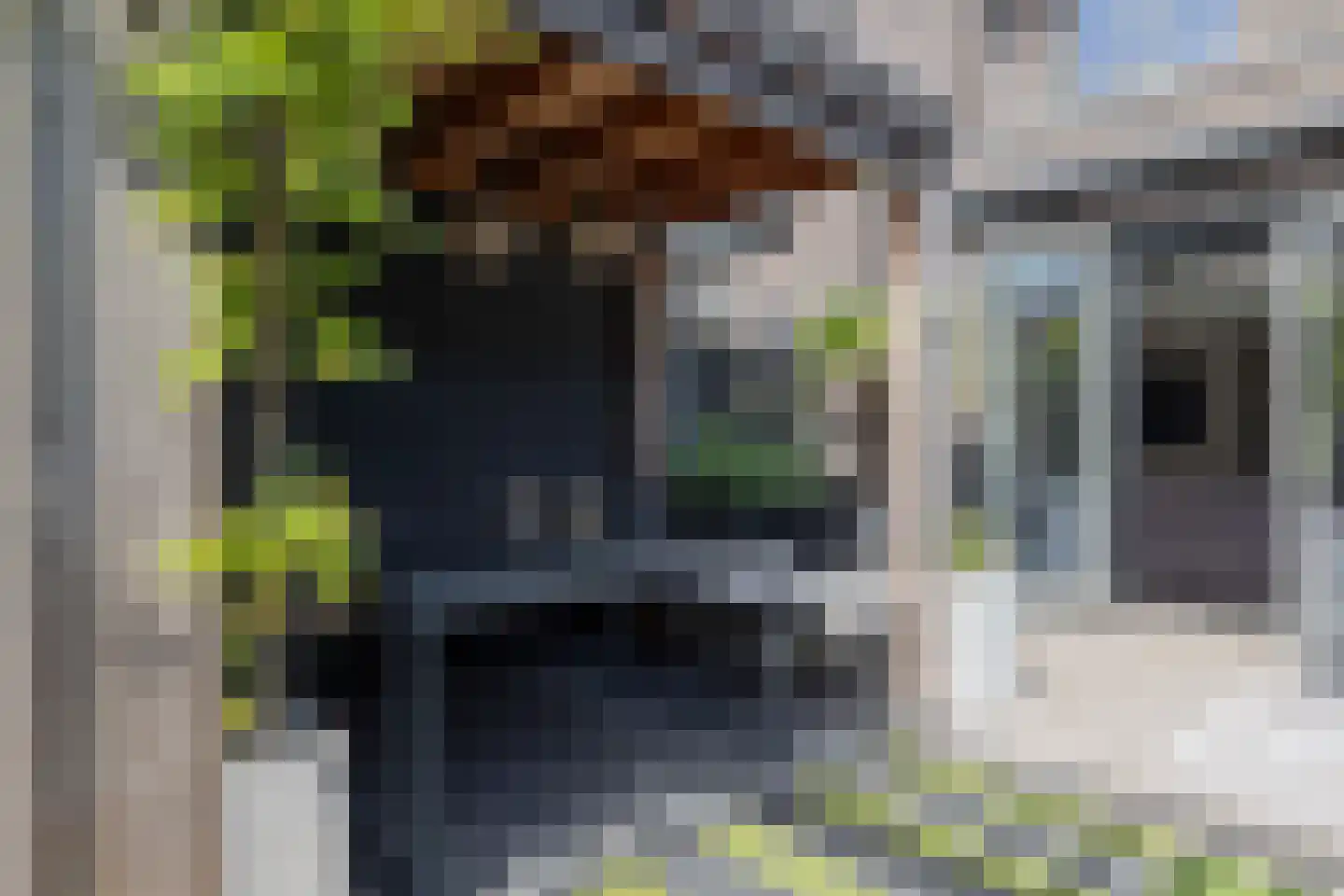 Meeroever 5 Hillegom thumbnail 20