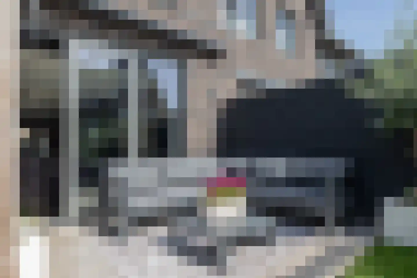 Meeroever 5 Hillegom thumbnail 22