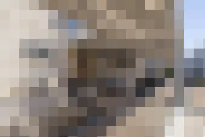 Meeroever 57 Hillegom thumbnail 10