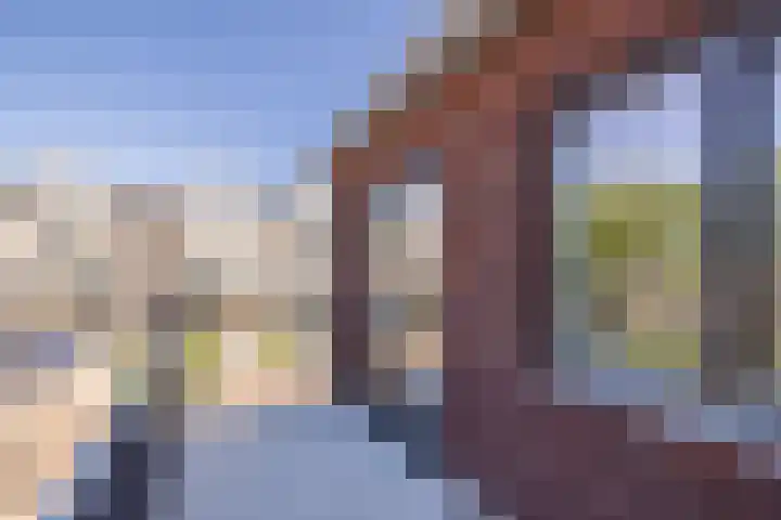 Meeroever 57 Hillegom thumbnail 17