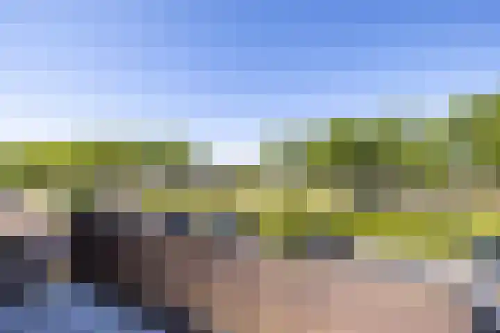 Meeroever 57 Hillegom thumbnail 18