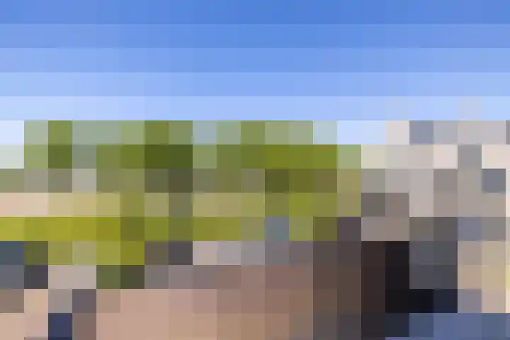 Meeroever 57 Hillegom thumbnail 19