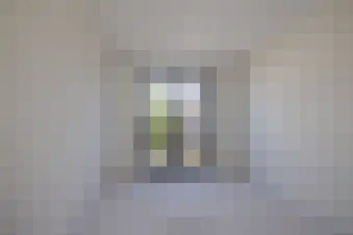 Meeroever 57 Hillegom thumbnail 23