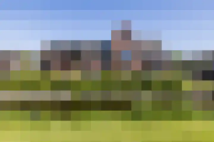 Meeroever 57 Hillegom thumbnail 33