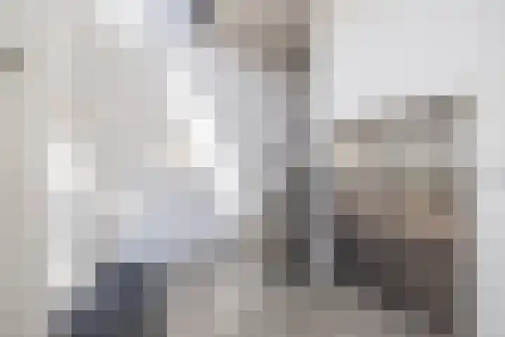 Meeroever 57 Hillegom thumbnail 7