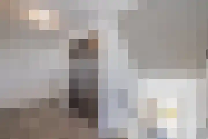 Meeroever 57 Hillegom thumbnail 8
