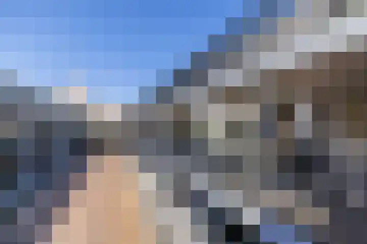 Meeroever 63 Hillegom thumbnail 10