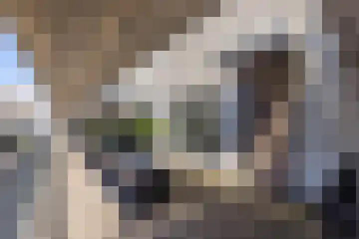 Meeroever 63 Hillegom thumbnail 11