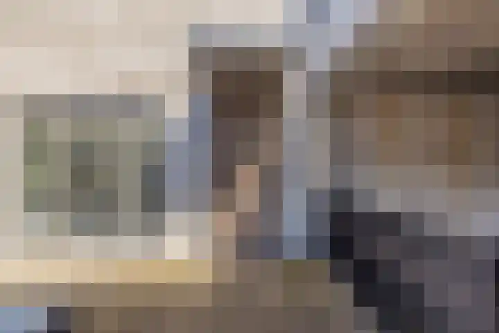 Meeroever 63 Hillegom thumbnail 12