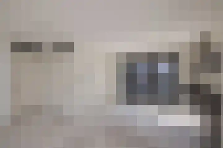 Meeroever 63 Hillegom thumbnail 17