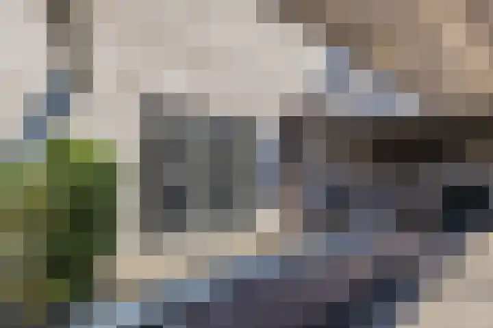 Meeroever 63 Hillegom thumbnail 28