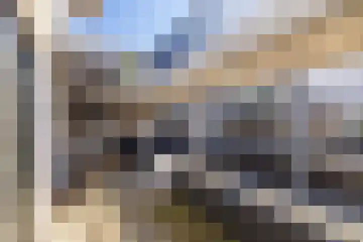 Meeroever 63 Hillegom thumbnail 30