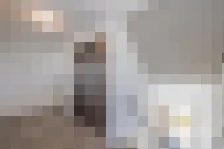 Meeroever 63 Hillegom thumbnail 7