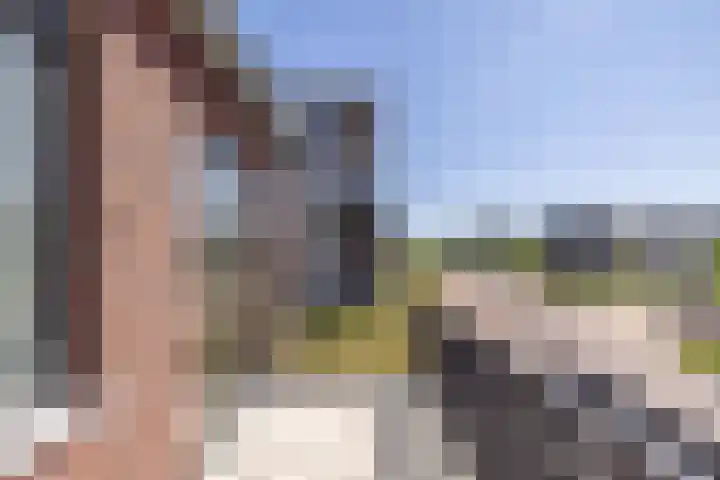 Meeroever 67 Hillegom thumbnail 17