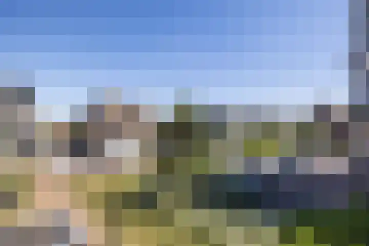 Meeroever 67 Hillegom thumbnail 37