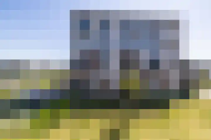 Meeroever 67 Hillegom thumbnail 38