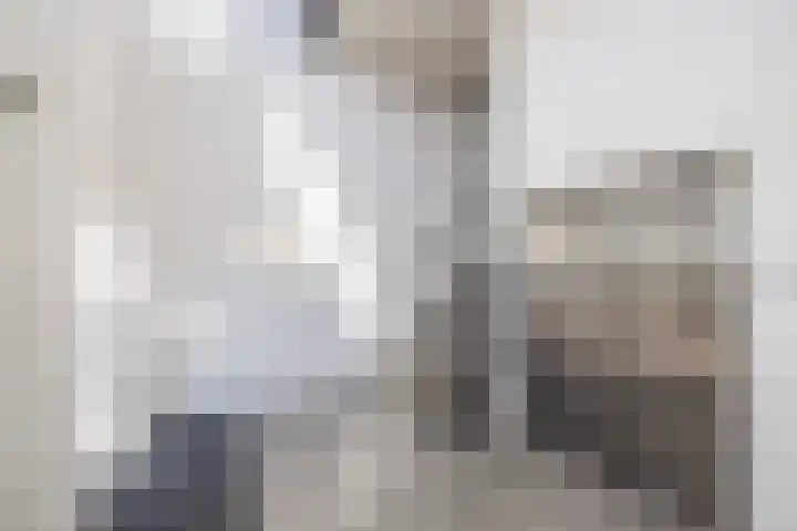 Meeroever 67 Hillegom thumbnail 8