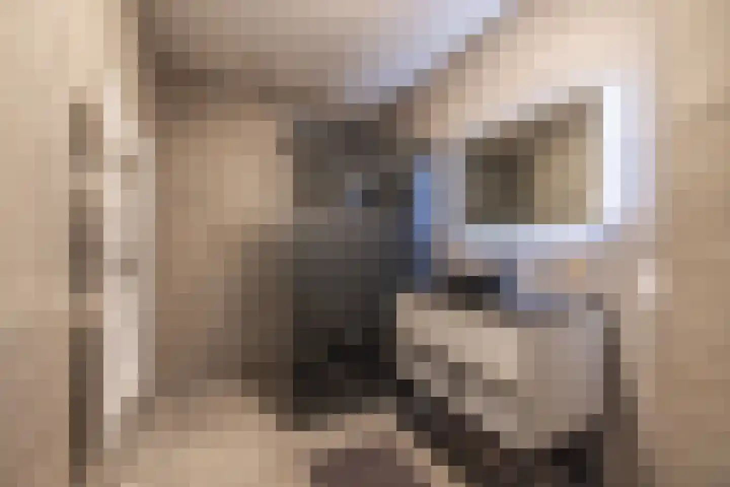 Meeroever 8 Hillegom thumbnail 21