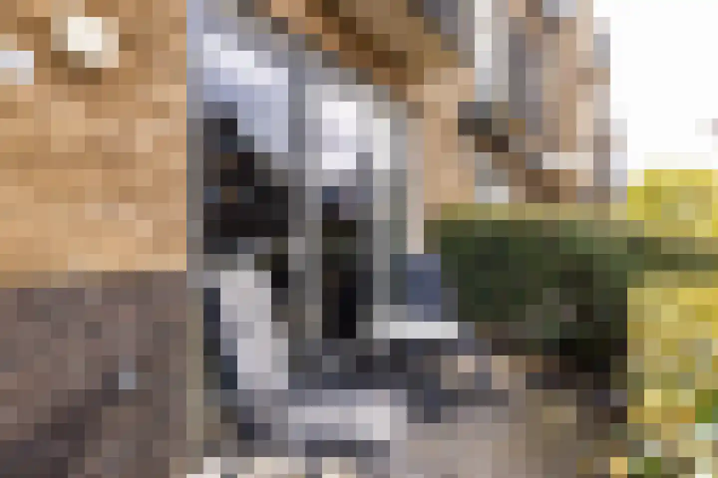 Meeroever 8 Hillegom thumbnail 26
