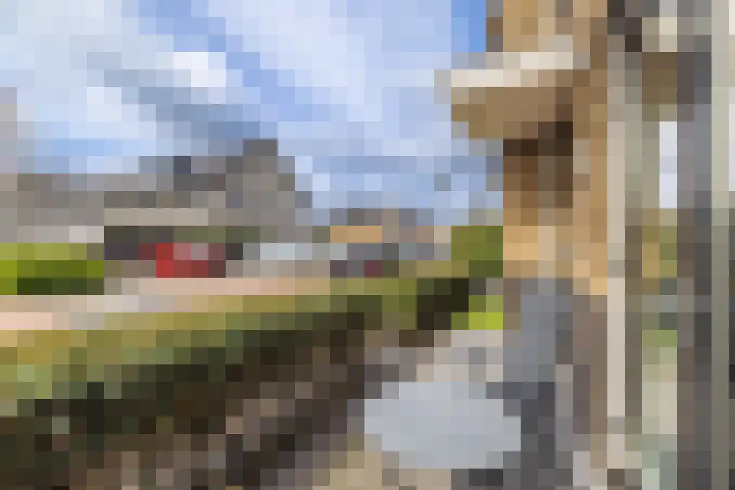 Meeroever 8 Hillegom thumbnail 27