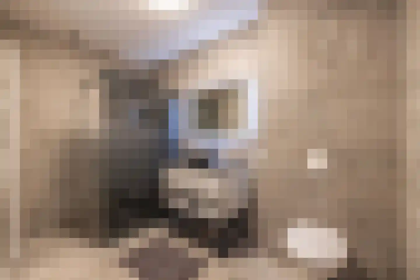 Meeroever 8 Hillegom thumbnail 4