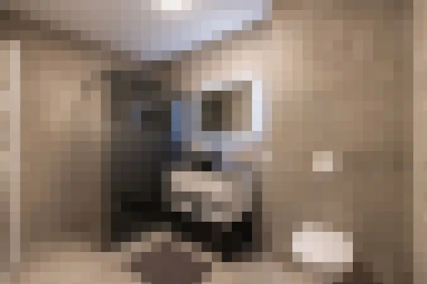 Meeroever 8 Hillegom thumbnail 4