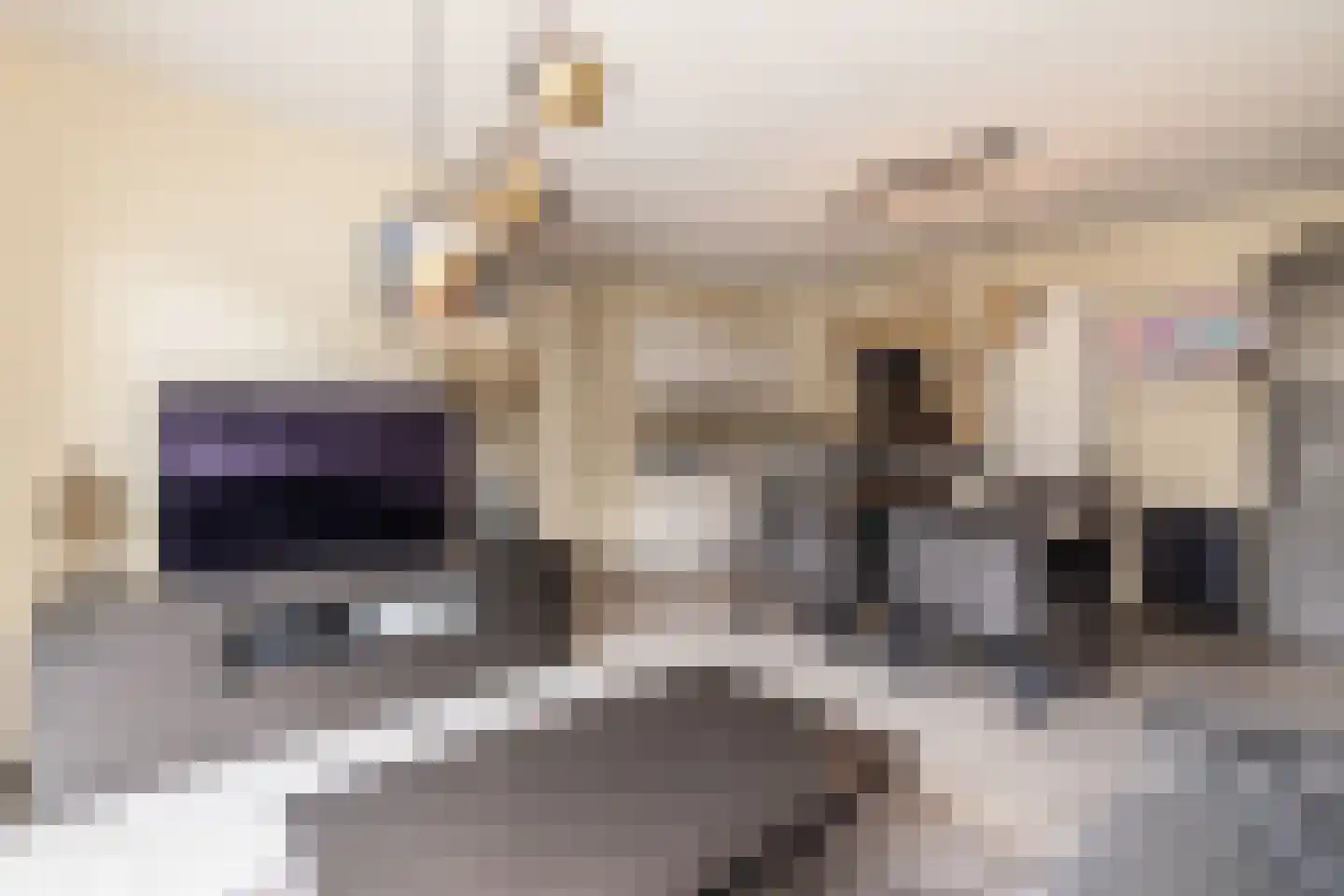 Meeroever 8 Hillegom thumbnail 8