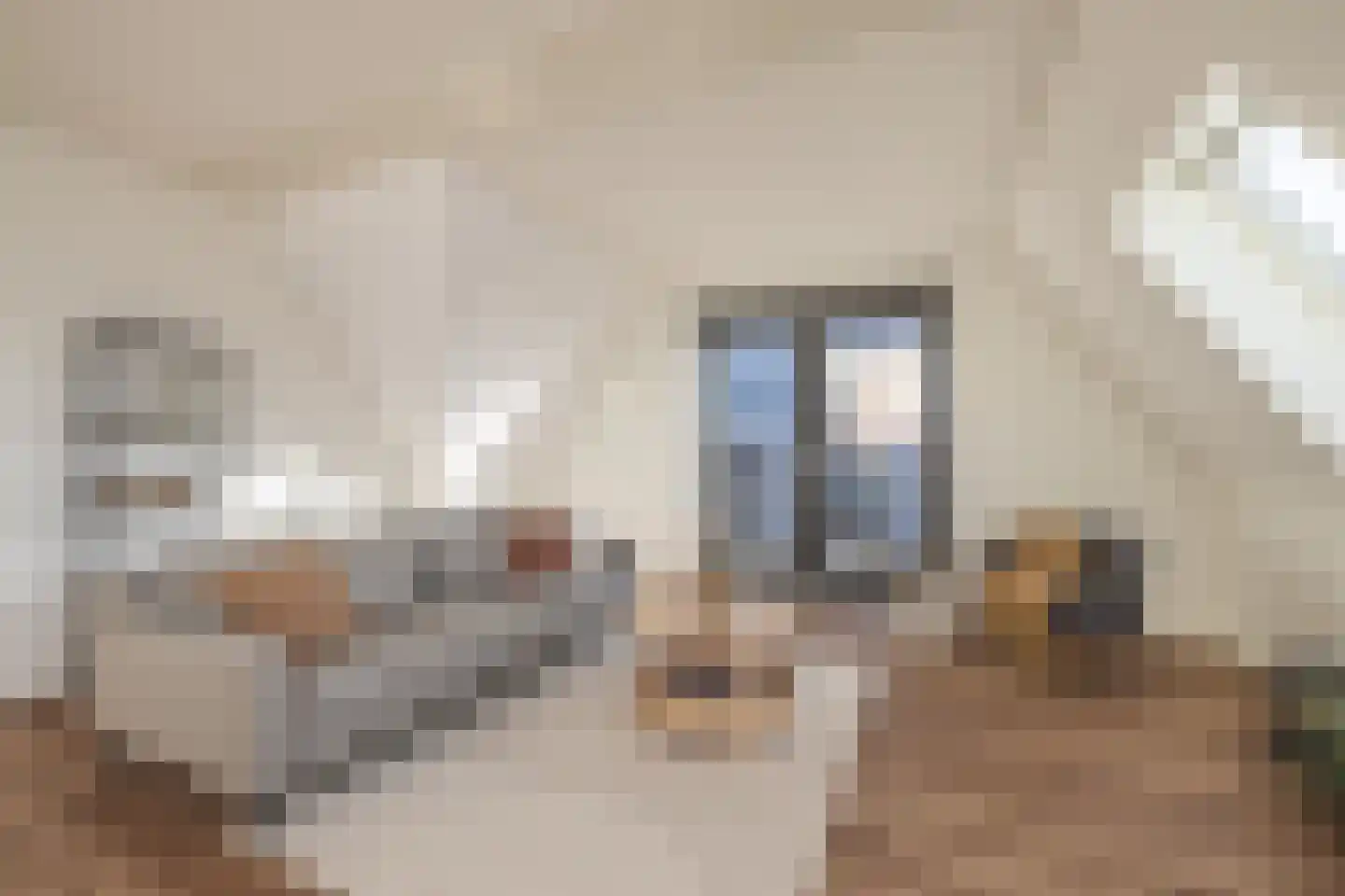 Meeroever 89 Hillegom thumbnail 15