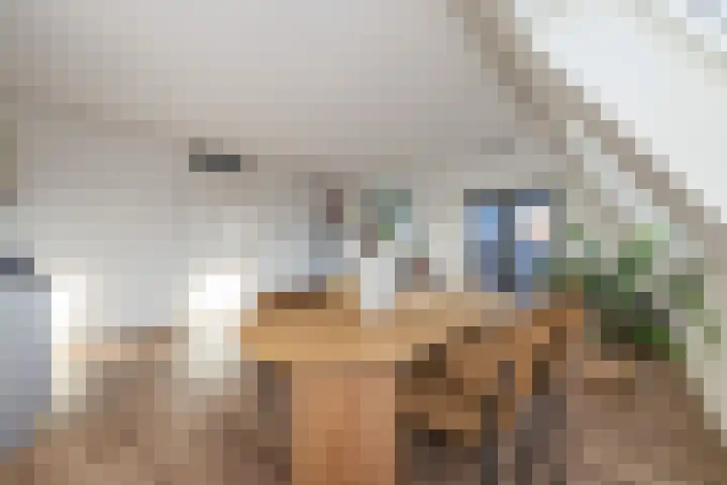 Meeroever 89 Hillegom thumbnail 20