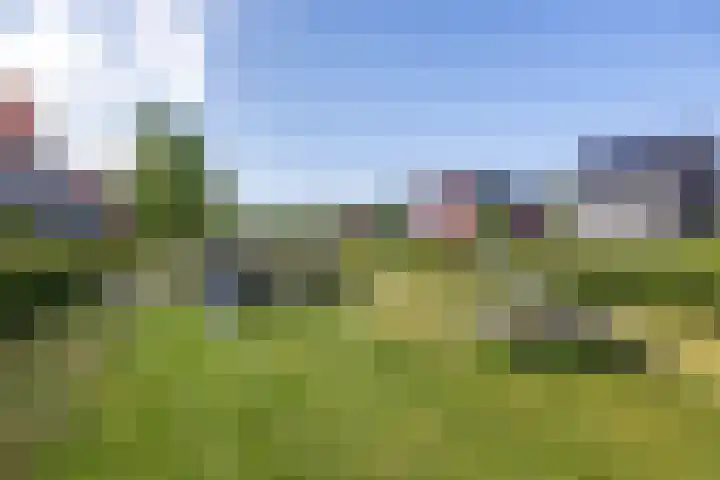 Meeroeverslaan 186 Meerstad thumbnail 5