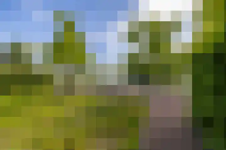 Meeroeverslaan 186 Meerstad thumbnail 52