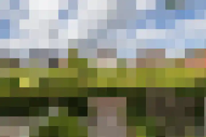 Meeroeverslaan 186 Meerstad thumbnail 9