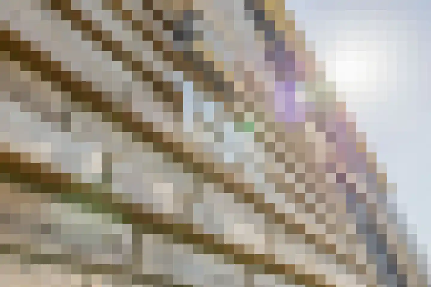 Meeroeverslaan 190 Meerstad thumbnail 12