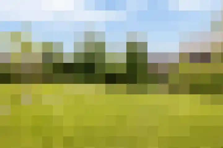 Meeroeverslaan 195 Meerstad thumbnail 48