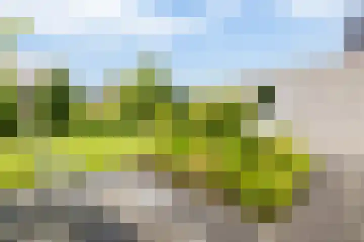 Meeroeverslaan 195 Meerstad thumbnail 51