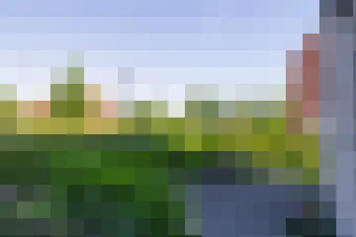 Meeroeverslaan 195 Meerstad thumbnail 57