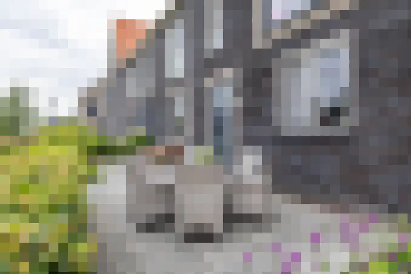 Meeroeverslaan 202 Meerstad thumbnail 14