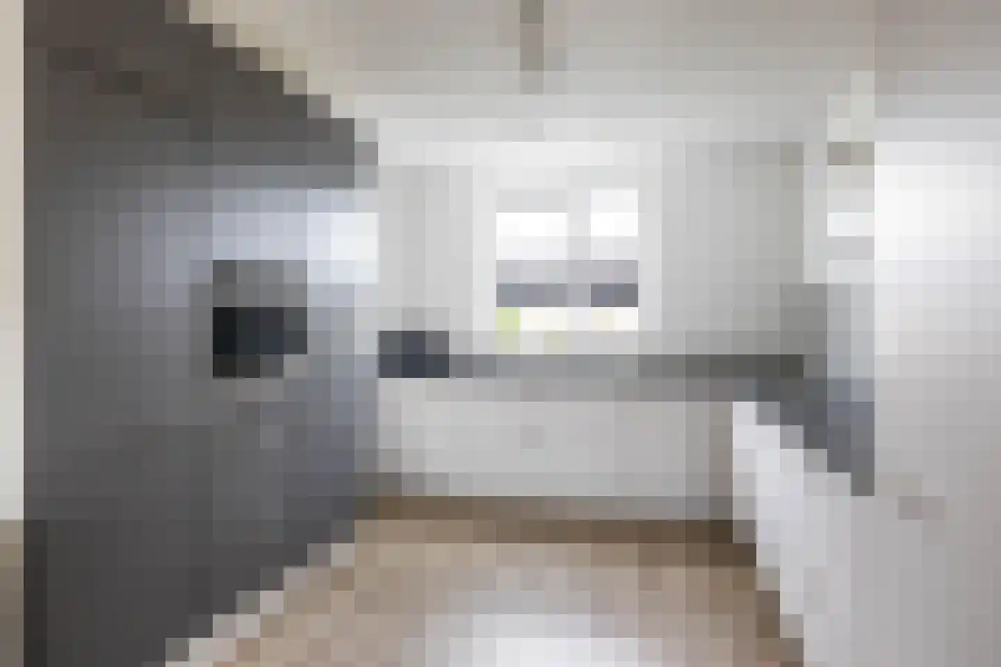 Meeroeverslaan 202 Meerstad thumbnail 24