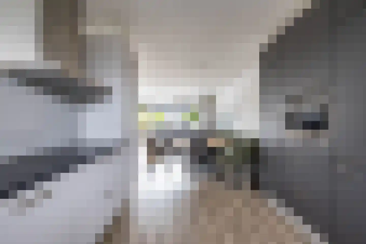 Meeroeverslaan 202 Meerstad thumbnail 27