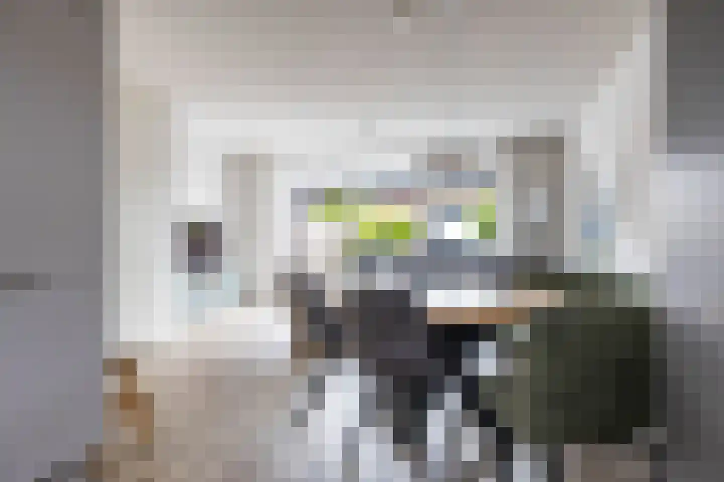 Meeroeverslaan 202 Meerstad thumbnail 28