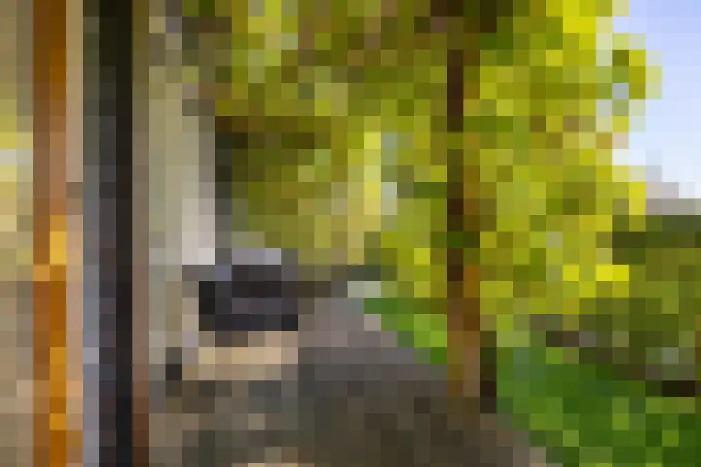 Meeroeverslaan 212 Meerstad thumbnail 24